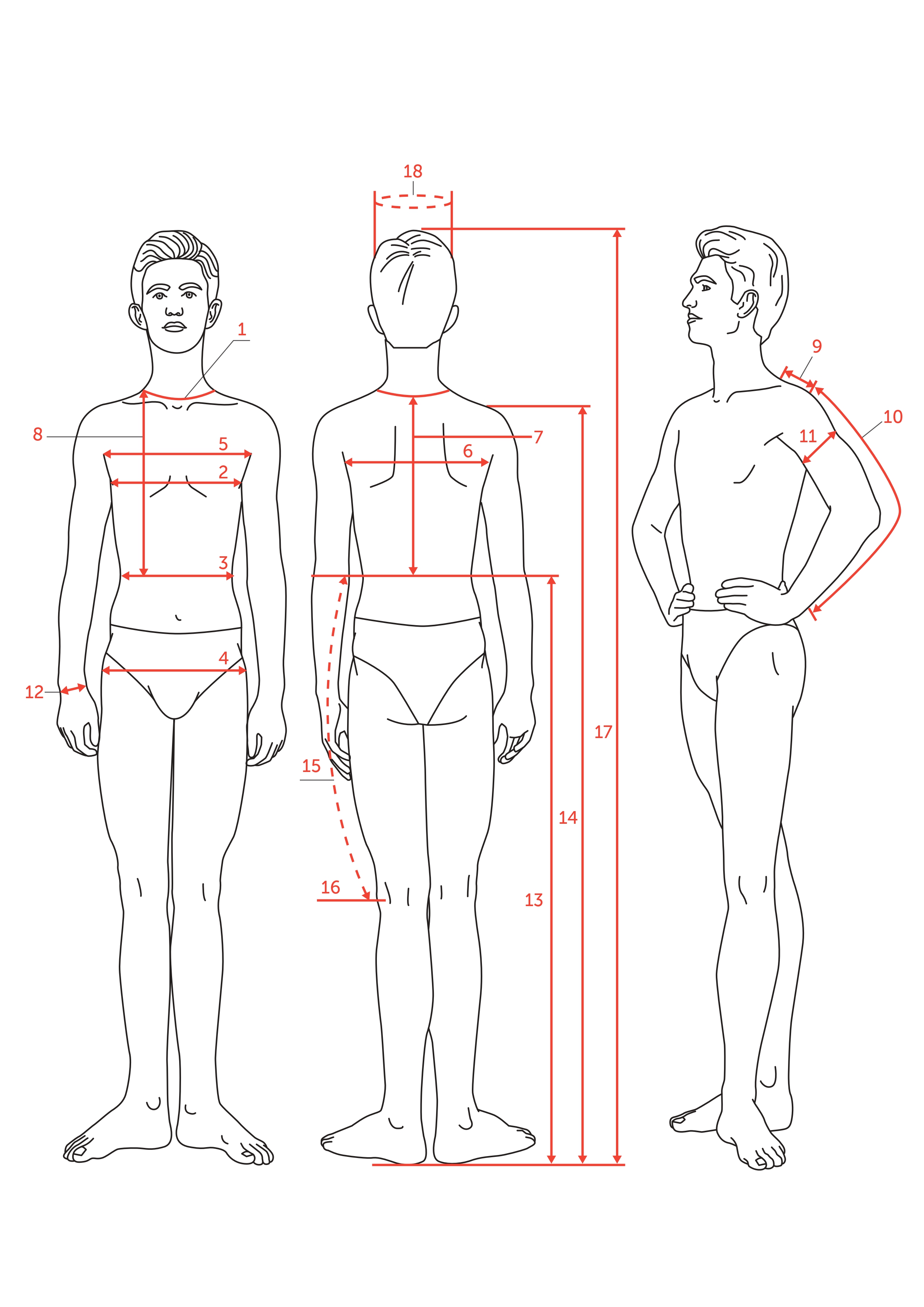 Women's costume measurement diagram